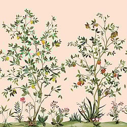 Galerie Wallcoverings Product Code: DB30301M - Daisy Bennett Wallpaper Collection Galerie Wallcoverings Product Code DB30301M - Daisy Bennett Wallpaper Collection - Pinks Colours - Citrus Grove Mural Design