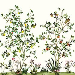 Galerie Wallcoverings Product Code: DB30305M - Daisy Bennett Wallpaper Collection Galerie Wallcoverings Product Code DB30305M - Daisy Bennett Wallpaper Collection - Multicolors Colours - Citrus Grove Mural Design