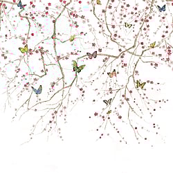 Galerie Wallcoverings Product Code: DB31301M - Daisy Bennett Wallpaper Collection Galerie Wallcoverings Product Code DB31301M - Daisy Bennett Wallpaper Collection - Multicolors Colours - Butterfly Delight Design
