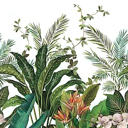 Galerie Wallcoverings Product Code: DB31700M - Daisy Bennett Wallpaper Collection Galerie Wallcoverings Product Code DB31700M - Daisy Bennett Wallpaper Collection - Multicolors Colours - Bird of Paradise Mural Design