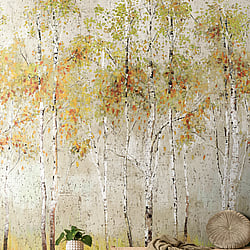 Galerie Wallcoverings Product Code: DB32006M - Daisy Bennett Wallpaper Collection Galerie Wallcoverings Product Code DB32006M - Daisy Bennett Wallpaper Collection - Multicolors Colours - Aspen Tree Mural Design