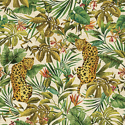 Galerie Wallcoverings Product Code: DB33216M - Daisy Bennett Wallpaper Collection Galerie Wallcoverings Product Code DB33216M - Daisy Bennett Wallpaper Collection - Multicolors Colours - Exotica Mural Design