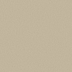 Galerie Wallcoverings Product Code DC30143 - Designer Colours Wallpaper Collection - Beige Colours - Close Texture Design