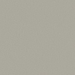 Galerie Wallcoverings Product Code DC30154 - Designer Colours Wallpaper Collection - Silver Grey Colours - Raised Texture Design