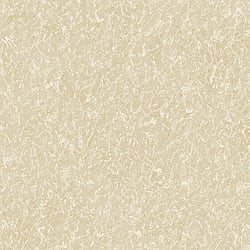 Galerie Wallcoverings Product Code DC30163 - Designer Colours Wallpaper Collection - Beige Colours - Worn Texture Design