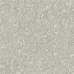 Galerie Wallcoverings Product Code DC30164 - Designer Colours Wallpaper Collection - Silver Grey Colours - Worn Texture Design