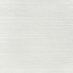 Galerie Wallcoverings Product Code: WP21606 - Daisy Bennett Wallpaper Collection Galerie Wallcoverings Product Code WP21606 - Daisy Bennett Wallpaper Collection - Silvers & Pewters Colours - Hayseed Grass Design