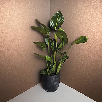 Galerie Wallcoverings Product Code 34949 - Eclectic Wallpaper Collection - Orange Colours -  