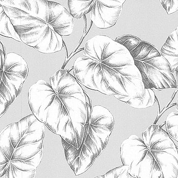 Galerie Wallcoverings Product Code 51135109 - Floral Dance Wallpaper Collection -   