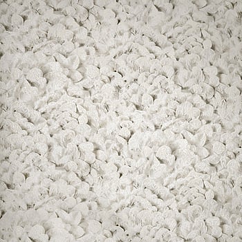 Galerie Wallcoverings Product Code 65310 - Salt Wallpaper Collection - Sesame Colours -  
