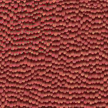 Galerie Wallcoverings Product Code AM30017 - Amazonia Wallpaper Collection - Red Colours -  