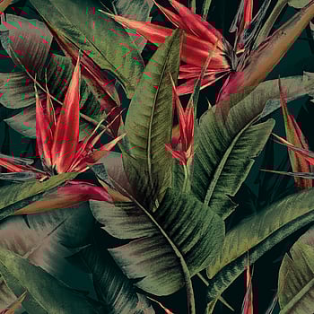 Galerie Wallcoverings Product Code DD120243 - Havana Wallpaper Collection -   