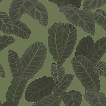 Galerie Wallcoverings Product Code ED13127 - Ted Baker Eden Wallpaper Collection - Green Colours -  