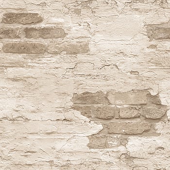 Galerie Wallcoverings Product Code G45355 - Grunge Wallpaper Collection - Cream Brown Colours -  